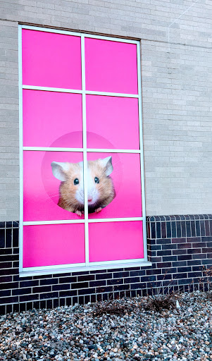 Pet Supply Store «PetSmart», reviews and photos, 11101 University Ave B, Clive, IA 50325, USA