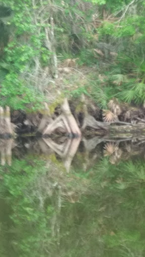 Public Golf Course «Terrace Hill Golf Club», reviews and photos, 7740 Temple Terrace Hwy, Temple Terrace, FL 33637, USA