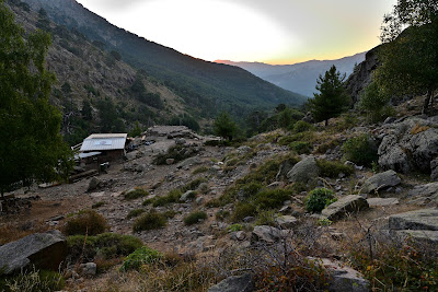 Bergeries des Radule à Albertacce