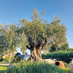 Photo n°21 de l'avis de Aide.r fait le 20/09/2023 à 13:31 sur le  IGV Club Santagiusta à Castiadas