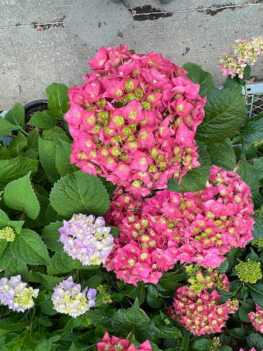 Home Improvement Store «The Home Depot», reviews and photos, 465 NJ-17, Mahwah, NJ 07495, USA