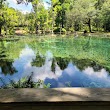 Crystal Springs Preserve