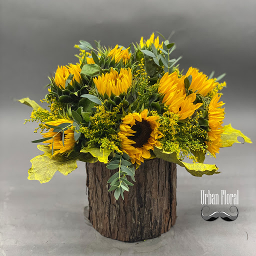 Florist «Urban Floral», reviews and photos, 671 Meriden Rd, Waterbury, CT 06705, USA