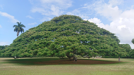 Moanalua Community Park