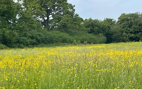 Paradise Fields, Horsenden Hill image