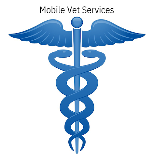 Comments and reviews of Mobile Vet Services