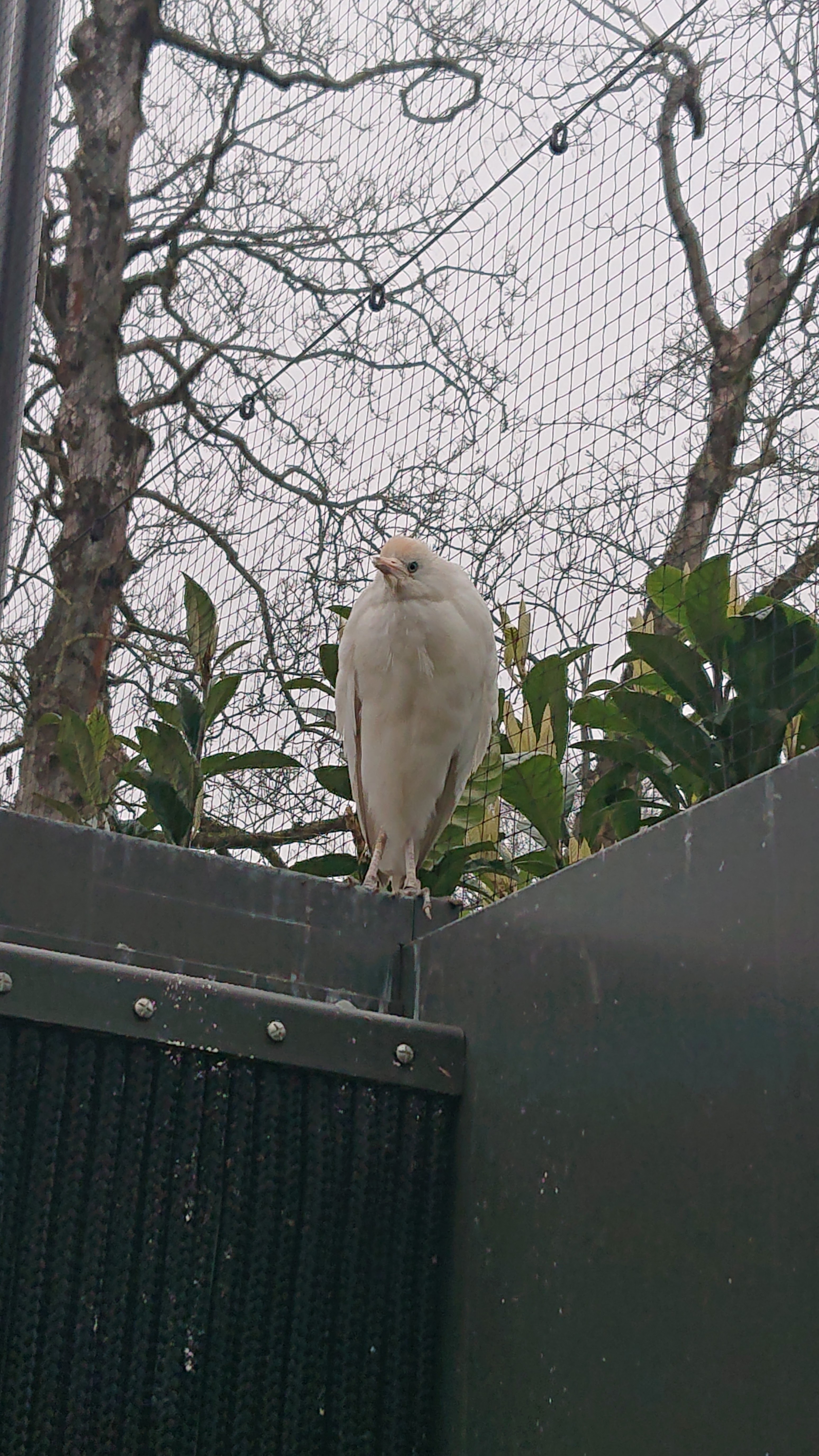 Photo n° 7 de l'avis de Otaries.a fait le 26/03/2019 à 09:02