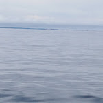 Photo n° 16 de l'avis de Pascale.o fait le 27/06/2021 à 11:17 pour Île d'Yeu à L'Île-d'Yeu