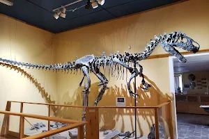 Glenrock Paleon Museum image