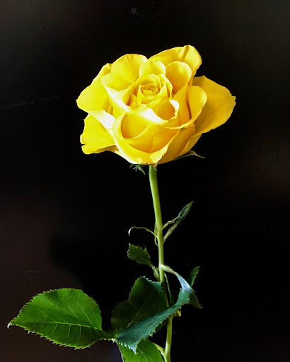 Florist «Parker Blooms», reviews and photos, 11153 S Parker Rd, Parker, CO 80134, USA