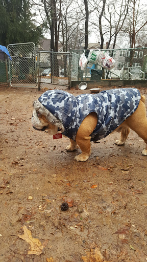 Dog Park «Forest Park Dog Run», reviews and photos, 8445 Park Ln S, Woodhaven, NY 11421, USA