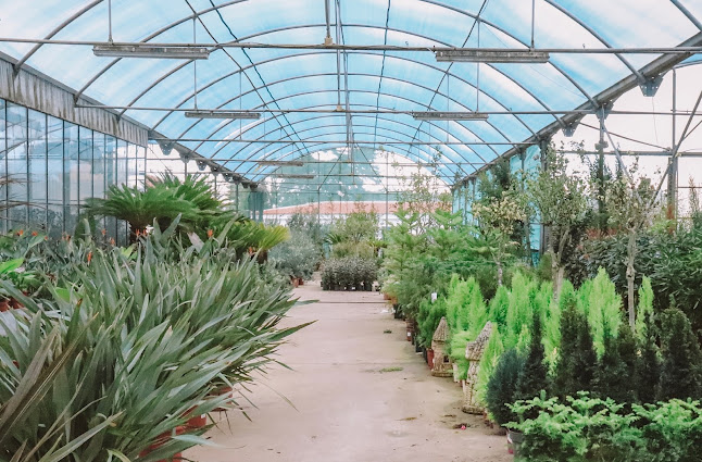 VIVEIROS VITOR LOURENÇO - Maia