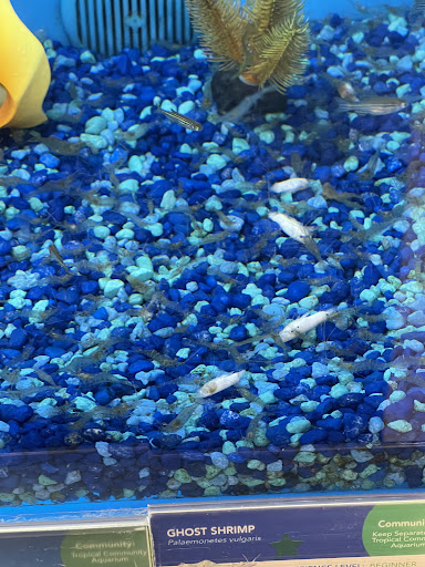 Pet Supply Store «PetSmart», reviews and photos, 916 Loganville Hwy, Bethlehem, GA 30620, USA