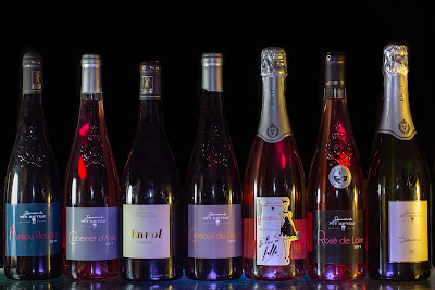 Domaine Du Puy Davyeau à Terranjou