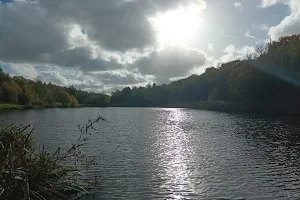 Strinesdale Reservoir image