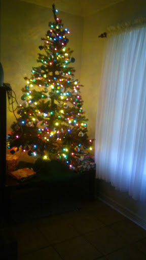 Dollar Store «FAMILY DOLLAR», reviews and photos, 4025 Pioneer Rd, Balch Springs, TX 75180, USA