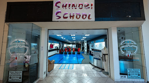 Shinobi School
