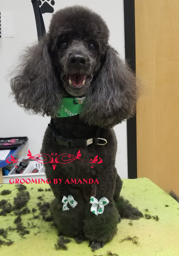 Pet Store «Petsense Enterprise», reviews and photos, 621 Boll Weevil Cir, Enterprise, AL 36330, USA