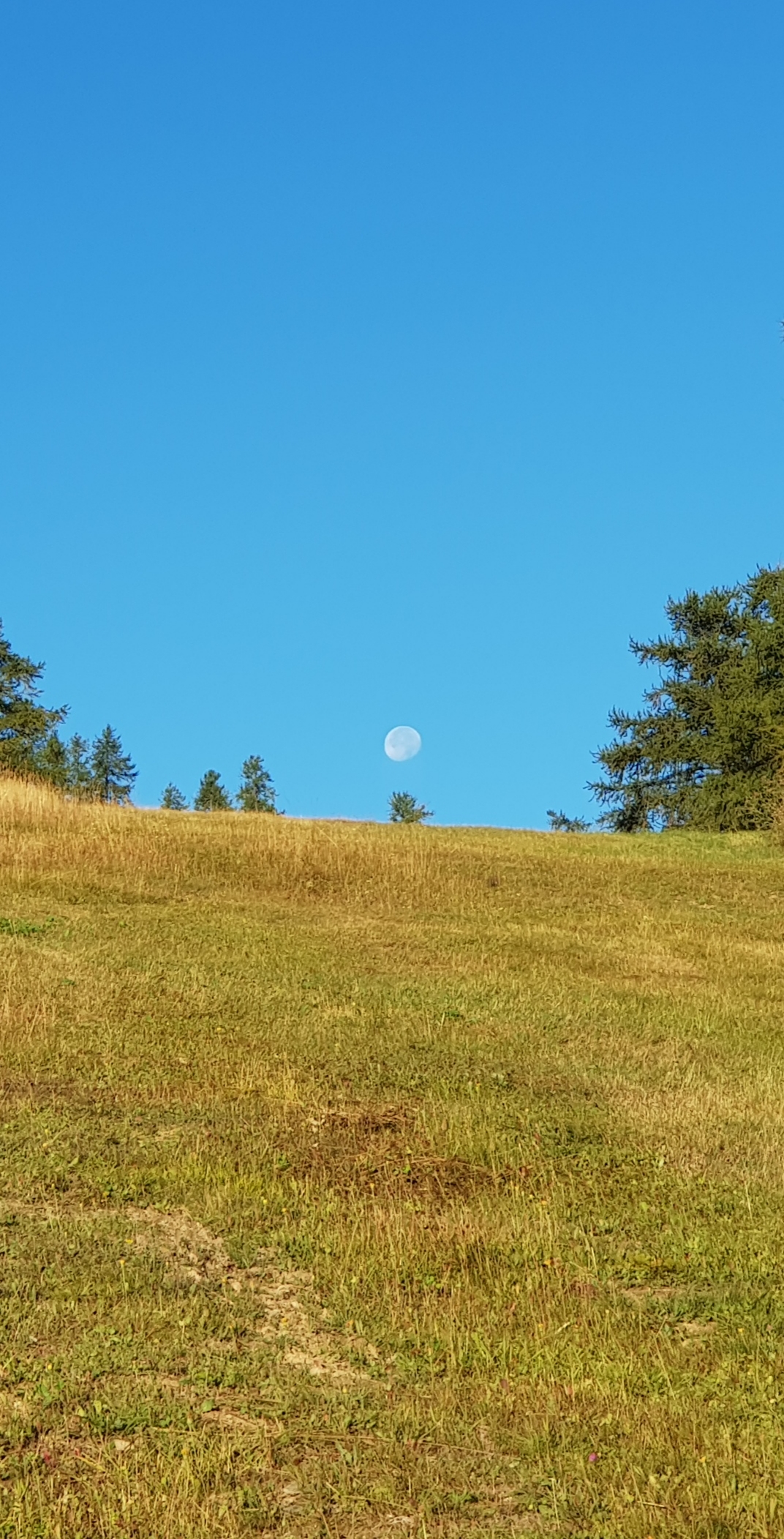 Photo n° 2 de l'avis de GOOD.P fait le 26/08/2019 à 08:45
