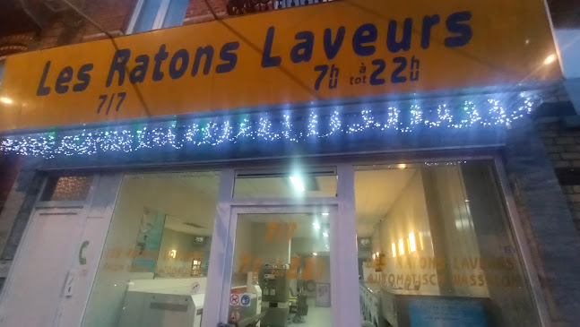 Beoordelingen van Salon Lavoir-Wassalon SPRL Les Ratons Laveurs in Vilvoorde - Wasserij