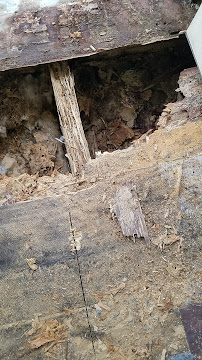 Barfield Home Inspections and Pest Control PLLC - Photo 8 - Car repair in , Port Arthur