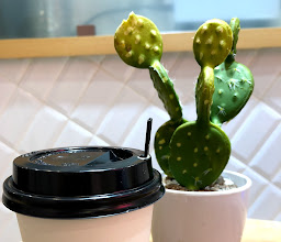 District 7 Coffee PIK photo