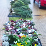 Photo n°1 de l'avis de Kosta.a fait le 29/11/2022 à 09:48 sur le  Landhaus Zur Alten Gärtnerei à Zossen