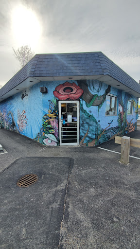 Pet Store «Pets World», reviews and photos, 147 Bridge St, Weymouth, MA 02191, USA