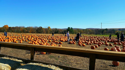 Orchard «Barton Orchards - Noxon Road Store Open Year Round - The Farm is CLOSED for the Season.», reviews and photos, 63 Apple Tree Ln, Poughquag, NY 12570, USA