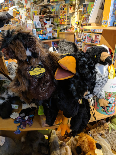 Toy Store «Treehouse Toys Ltd», reviews and photos, 47 Exchange St, Portland, ME 04101, USA