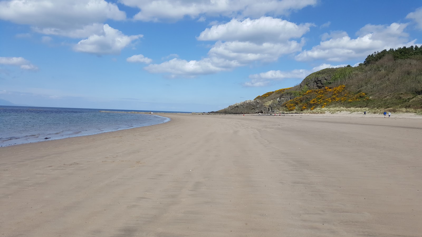 Foto van Maidens Beach - populaire plek onder ontspanningskenners