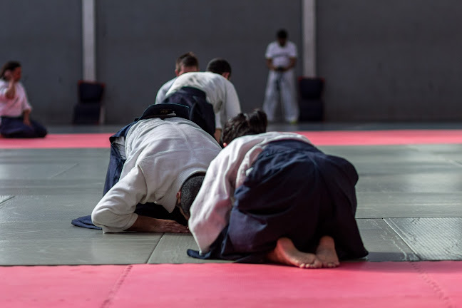 Opiniones de Club de Aikido Concepción - Taiga Aiki Dojo en Concepción - Escuela