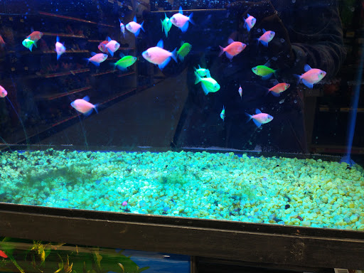 Animal Feed Store «Franklin Hardware & Pet Center», reviews and photos, 1975 Philadelphia Ave, Chambersburg, PA 17201, USA