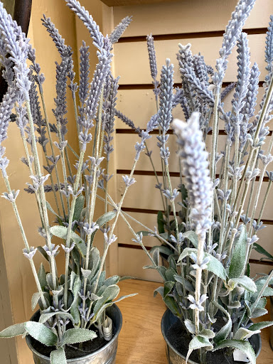 Garden Center «Stauffers of Kissel Hill Home & Garden Store», reviews and photos, 4450 Lincoln Hwy, York, PA 17406, USA