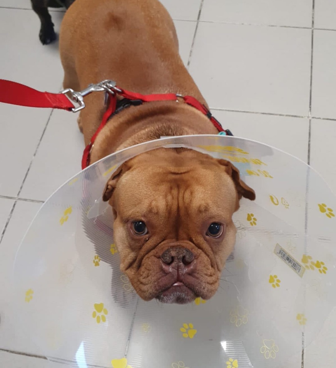 Photo n° 1 de l'avis de Charlie. fait le 20/01/2024 à 17:28