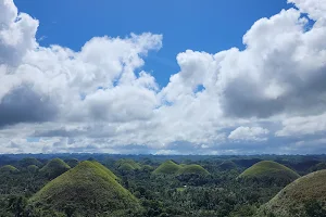 Chocolate Hills Natural Monument image
