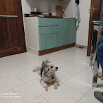 Photo n°1 de l'avis de Ilaria.u fait le 01/03/2020 à 12:43 sur le  Residence Ristorante Il Paradiso à Guardistallo