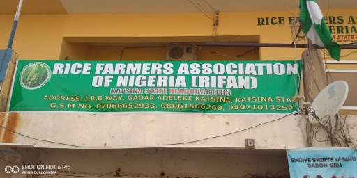 RIFAN Office Katsina State, Katsina, Nigeria, Financial Consultant, state Katsina