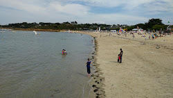 Plage du Kelenn'in fotoğrafı - rahatlamayı sevenler arasında popüler bir yer