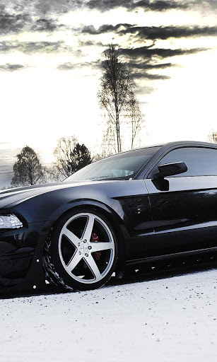 Car Wash «Red Carpet Car Wash», reviews and photos, 4546 Tuscarawas St W, Canton, OH 44708, USA