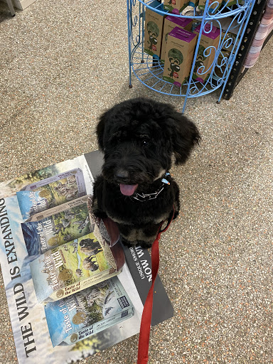 Pet Store «Wag Natural Pet Market & Grooming Tampa», reviews and photos, 304 E Davis Blvd, Tampa, FL 33606, USA