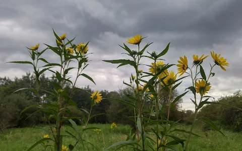 Steve Michaud Park Conservation Area image