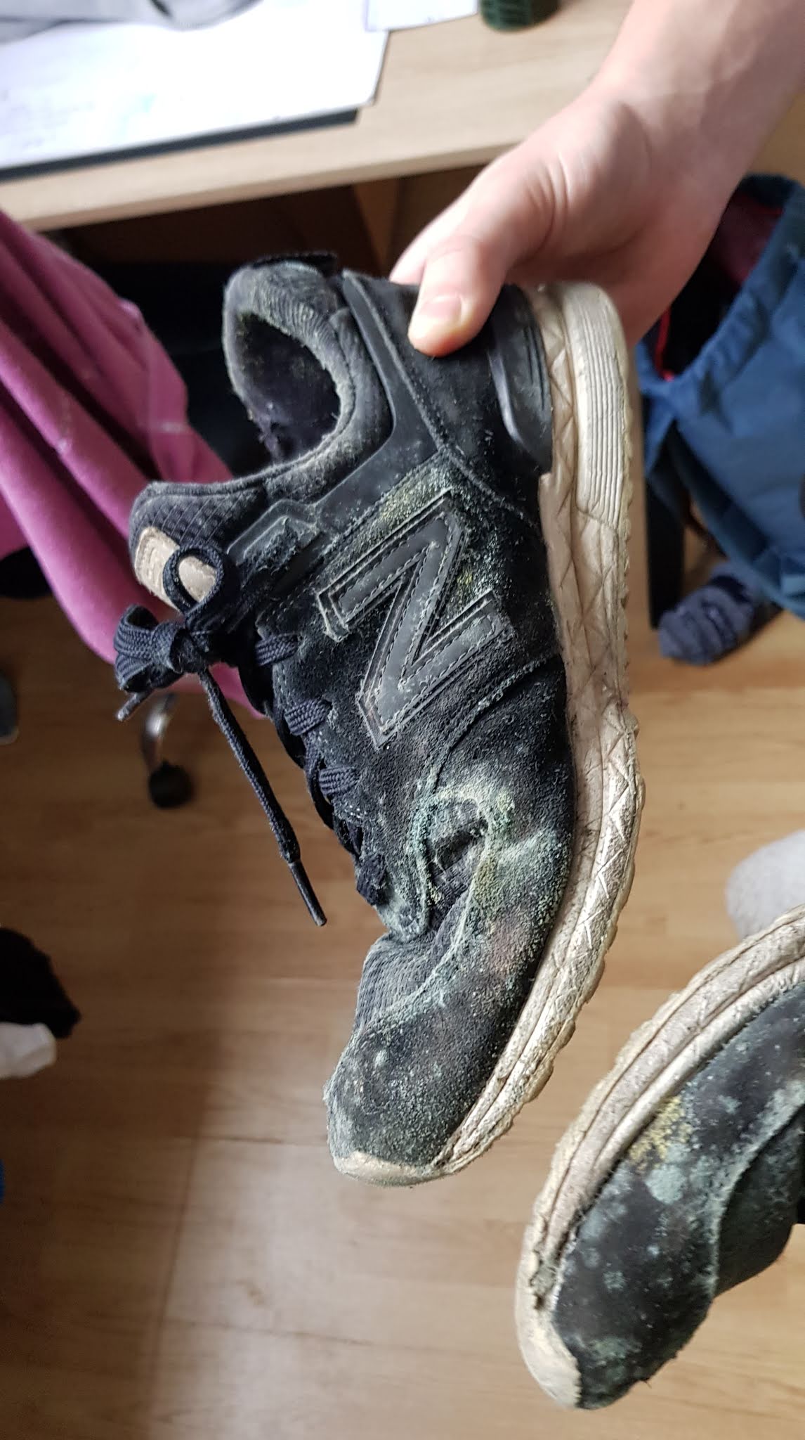 Photo n° 2 de l'avis de Clem.n fait le 26/02/2020 à 12:43