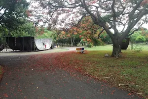 Skateboarding Field image