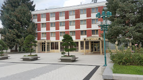 Hotel Pravets Palace