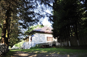 Muzeul Memorial „Mihail Sadoveanu” și Casa Memorială „Visarion Puiu”