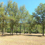 Photo n°2 de l'avis de Maria.a fait le 15/08/2023 à 07:59 sur le  Oasi Fiume Alento à Prignano Cilento