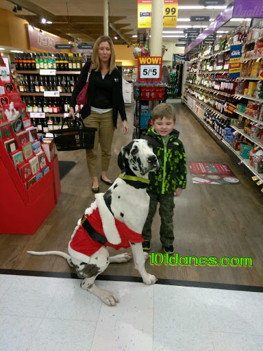 Grocery Store «Food Lion», reviews and photos, 4915 Richmond Tappahannock Hwy, Aylett, VA 23009, USA