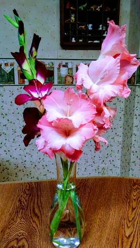 Department Store «Sears», reviews and photos, 200 Eastview Mall, Victor, NY 14564, USA