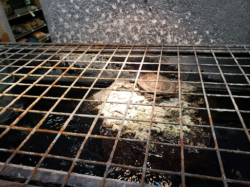 Pet Supply Store «Petco Animal Supplies», reviews and photos, 585 E Wetmore Rd, Tucson, AZ 85705, USA